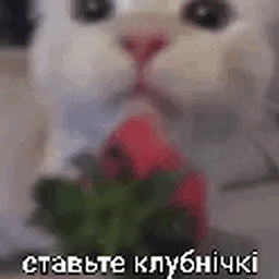 _OrRBIT_